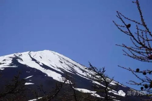 “富士山脚古风，千年民俗热爆全网”