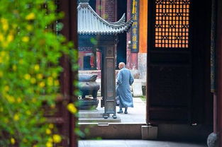 Meditation & Tea – 传统方式禅意体验