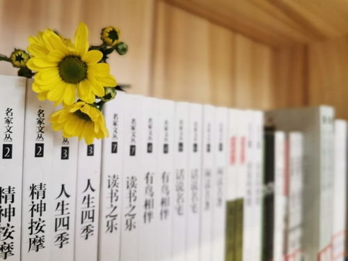 博山博大起名馆的算命取名书籍靠谱吗？
