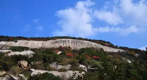 必玩项目：这些独特体验让孩子记一辈子