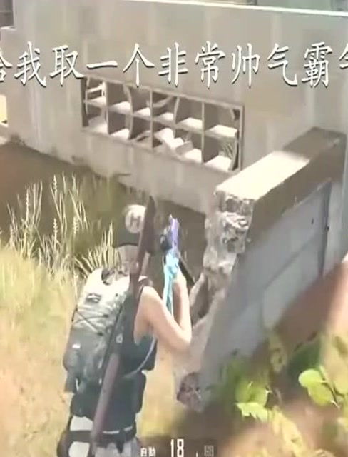 吃鸡游戏名字的意义
