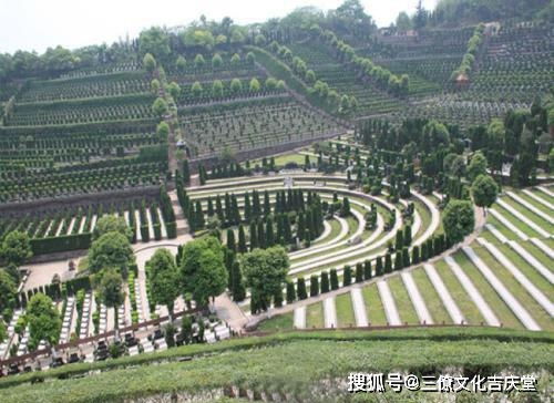 1. 墓地周围忌杂草树木过多