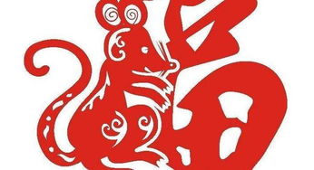 2026虎年宝宝起名，带钦字如何？龙年女孩名字中带福字，能否改写为更长的？