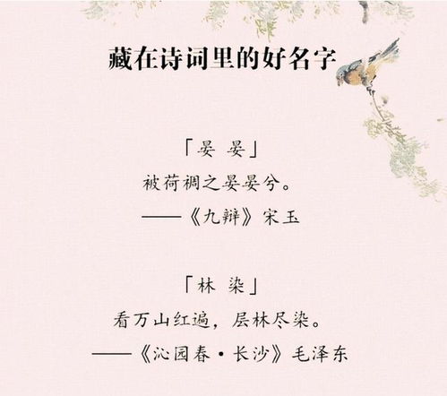 诗词歌赋大杂烩：抄作业的感觉