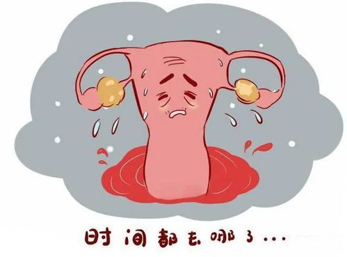 二、 卵巢功能天然衰退——最常见却又被忽略