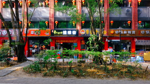 偶然相遇的旅行记忆