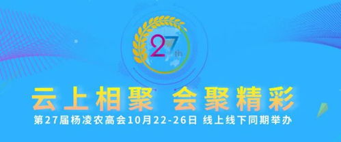 疫情后的新常态