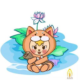四、生肖+星座混搭大乱炖——比如“鼠-双子混血”该怎么保温？