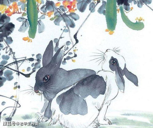 2026年属兔的桃花运势具体是怎样的？
