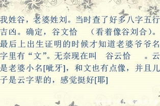 禅通纪