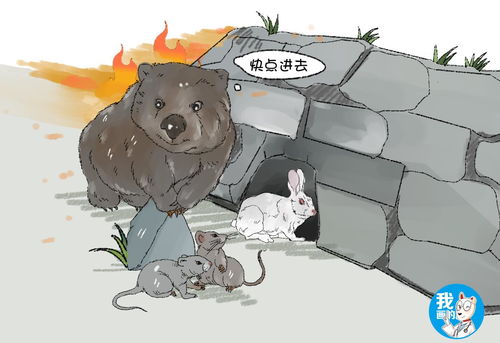 鼠生艰难啊
