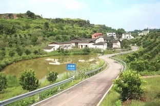 景点奇遇：看到啥都算你走运