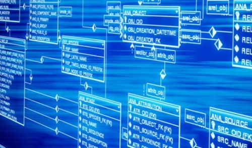 救命啊！我被旅游信息淹没了