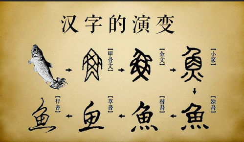 2. 当前这个名字背后到底藏了啥史料？