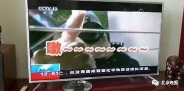 一、 阴阳失衡：鼠年与金木交冲