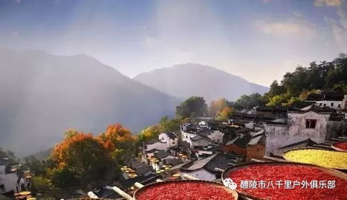 1. 殷墟：甲骨文堪不懂也没关系