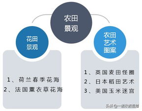 三、 疯狂的文字流（较长句乱入）