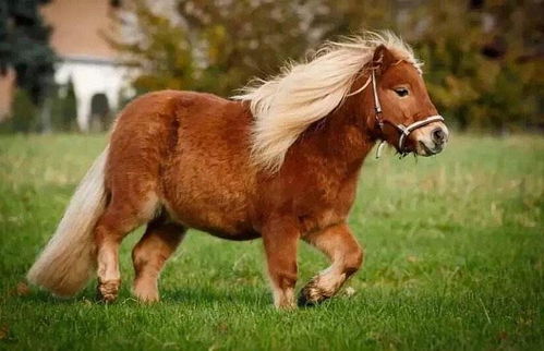 门票价格大揭秘（以及我的钱包在哭泣）