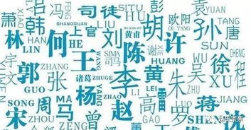 给姓嵩的女宝宝起名？我熬了三晚整理的「乱七八糟但超实在」指南