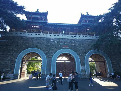 玄武湖：夏日里的避暑胜地