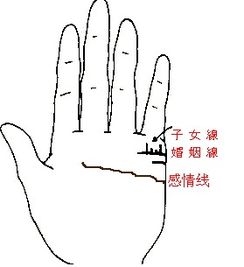 手相子女线位置图怎么看？手相上子女线如何解读？