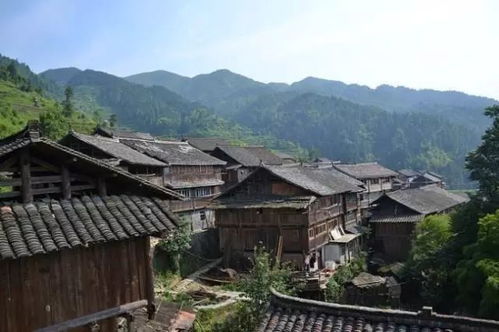 生态之旅：享受天然与宁静