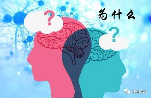 传统节气文化探秘，节日内涵深度解析