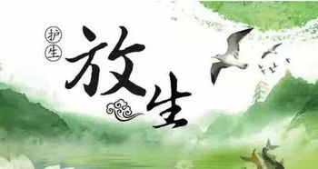 随喜放生的功德与利益