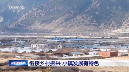 骆驼也看黄历？2026年这些日子千万别惹它们