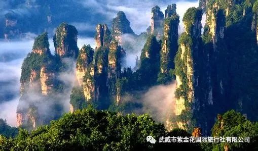 带娃必备神器清单