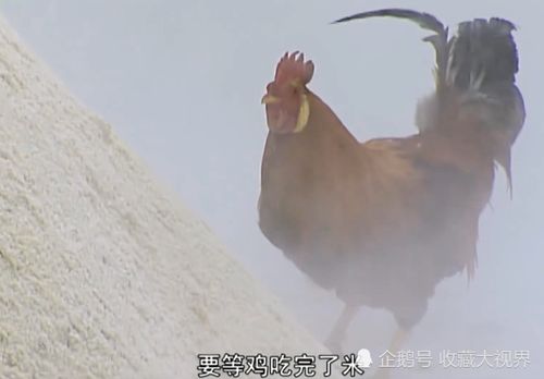 梦见自己打狗并吃狗肉，这究竟是什么吉凶预兆？