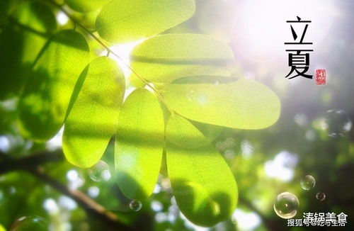 东北立夏风潮：传统立夏，现代焕新，爆款民俗盛宴