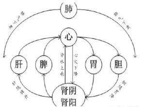 如何根据五行中缺金水的特点，为个人起一个既符合命理又富有创意的昵称呢？