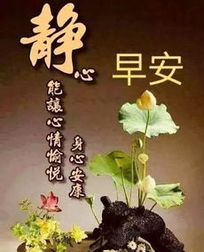 西湖春景全是P的