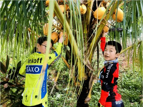 亲子乐园：炎热带天堂中的互动体验