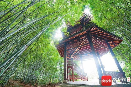 震惊！泥巴墙背后藏着惊天大秘密 2026年属蛇人必看
