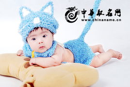兔宝宝的小名改写为长尾，可以这样表达：兔宝宝的小名叫什么呀？