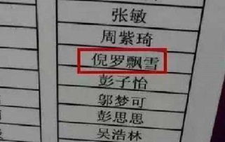 秘籍来啦：五行八卦乱炖版