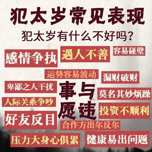 年底冲刺(11-12月): 希望与绝望并存