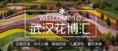1.1 花海是哪些玩意儿？