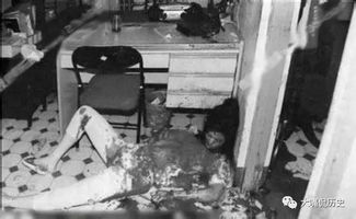 对门的房子发生凶杀案,对门的房子发生凶杀案