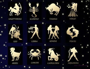 属虎的星座性格有哪些特点？
