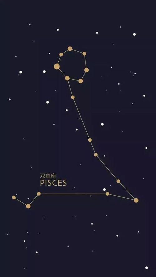 星座运势：火象星座与鸟