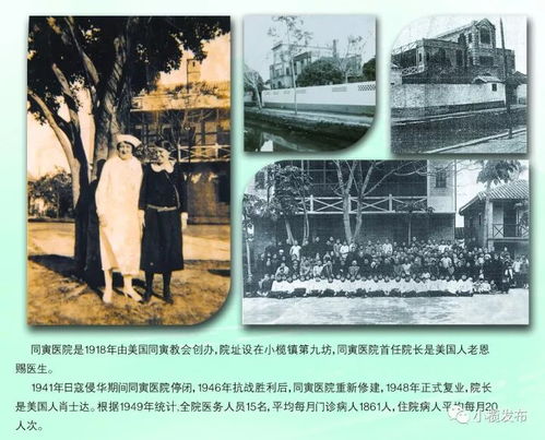 五、朱老九与较大北山：医术传奇与乡土情怀