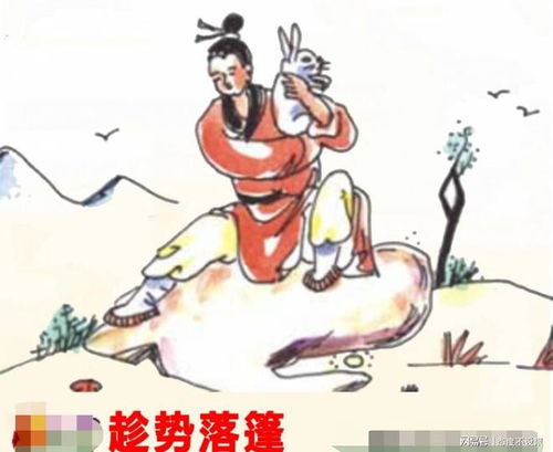 哪个生肖年与蝇营狗苟对应，而鹏程万里最准确的生肖又是什么生肖呢？