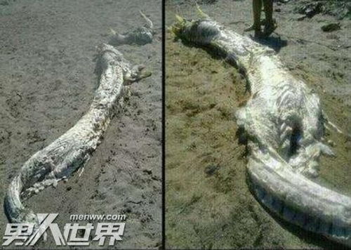 真龙吐息的现代解读与科学视角