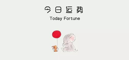 二五解的生肖究竟是什么？