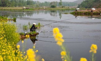 河边钓鱼的风水说法大全,河边钓鱼的风水说法大全