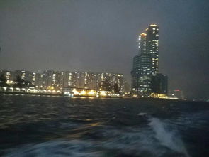 早上：维多利亚港的喧嚣与一丝怀旧