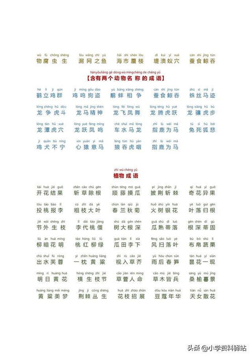 二、数字风暴（准备好迎接混乱！）